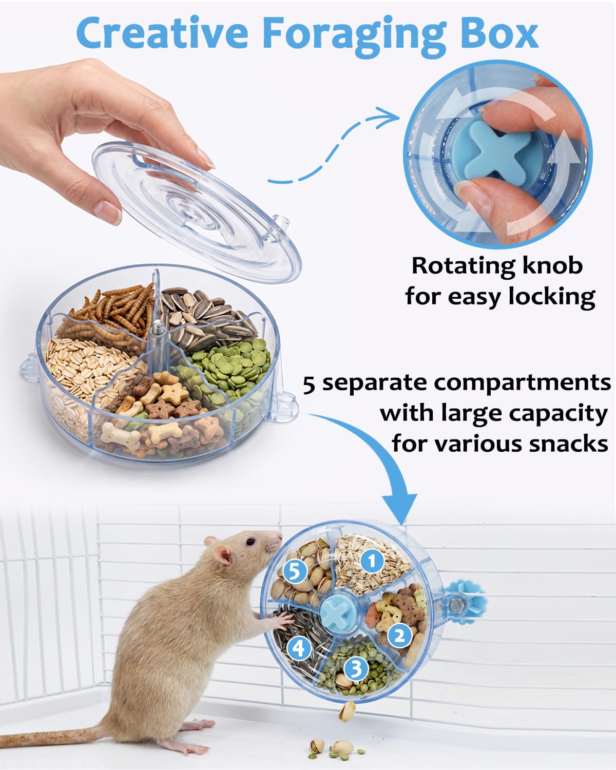 TriGia Paws gros plan du mécanisme rotatif pour stimulation mentale sûre