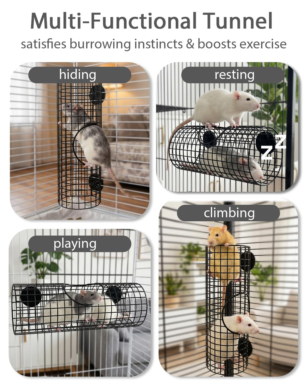 TriGia Paws détail métallique soulignant le cadre anti-effondrement durable