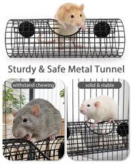 TriGia Paws hublot gros plan permettant d'observer le rat sans le déranger