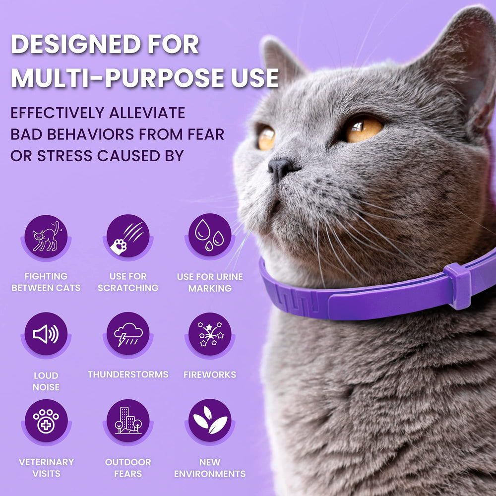 TriOak collier porté par un chat en intérieur montrant réduction visible du stress comportemental