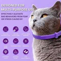 TriOak collier porté par un chat en intérieur montrant réduction visible du stress comportemental