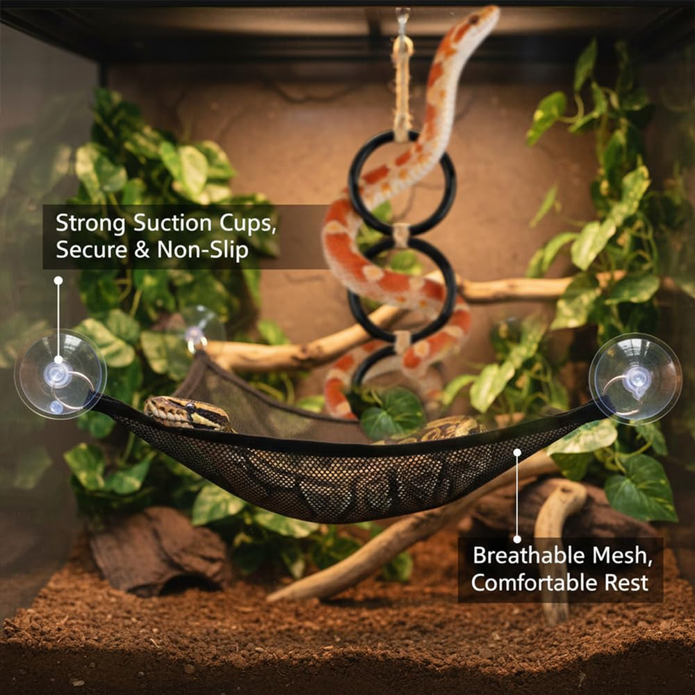 Trivolein détail ventouse fixation forte pour terrarium sûr