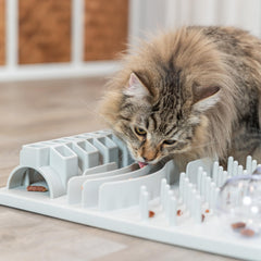Chat explorant le TRIXIE Fun Board en chassant des friandises, renforce activité physique