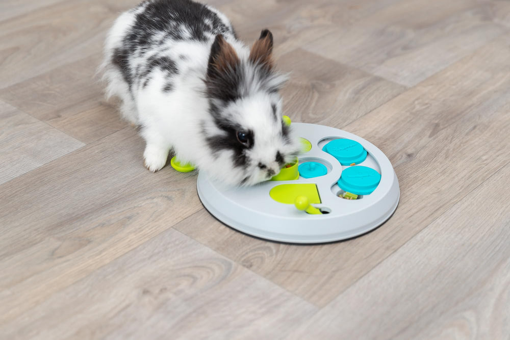 TRIXIE gros plan des mécanismes illustrant la stimulation mentale