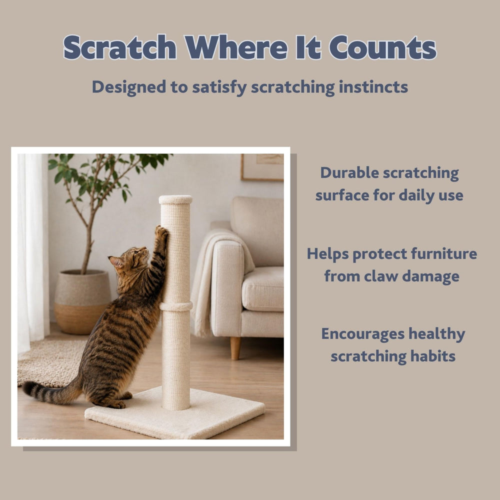 TRIXIE chat utilisant le griffoir montrant amusement et protection du mobilier