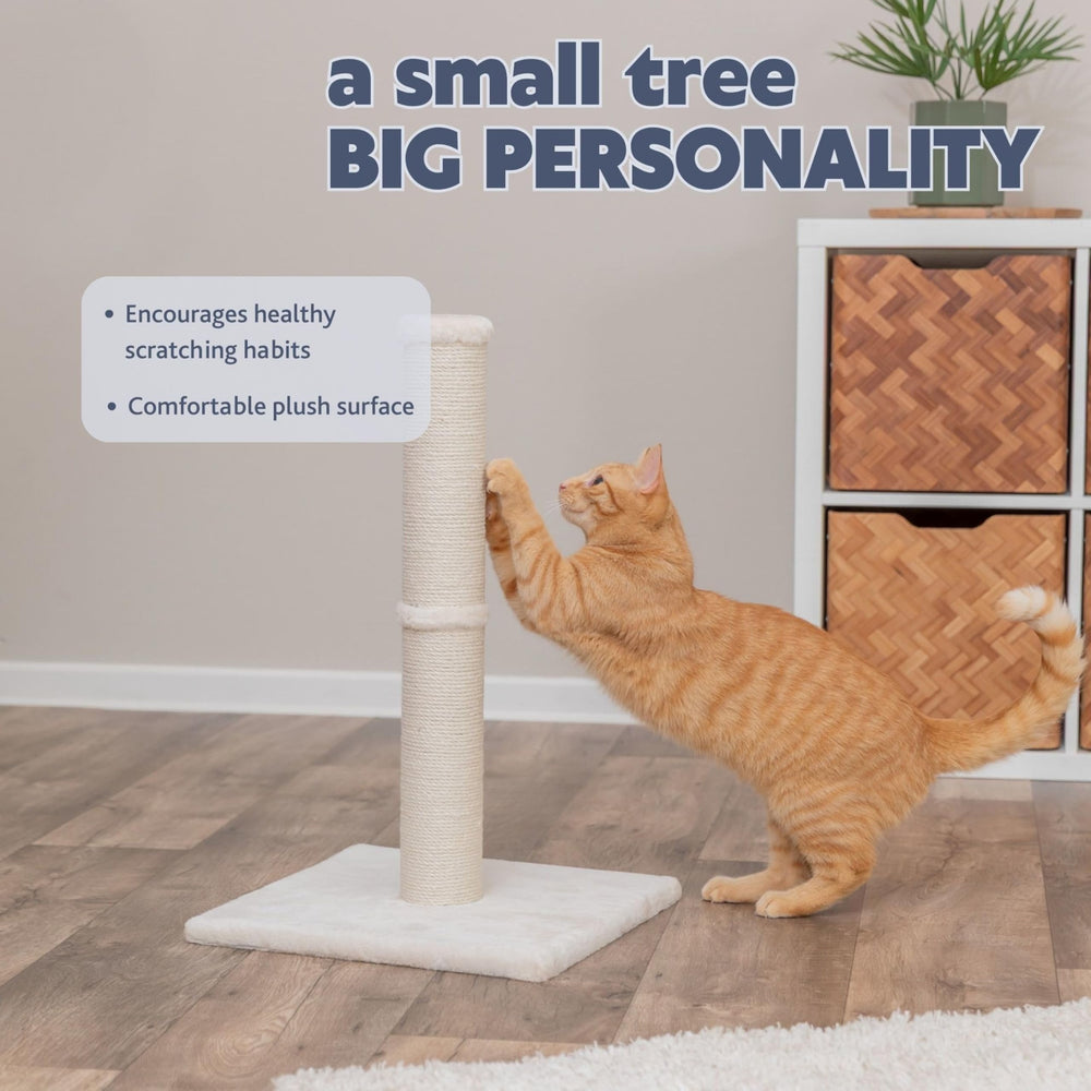 TRIXIE gros plan sur la texture jute offrant une prise durable pour griffes