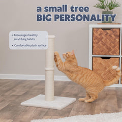 TRIXIE gros plan sur la texture jute offrant une prise durable pour griffes