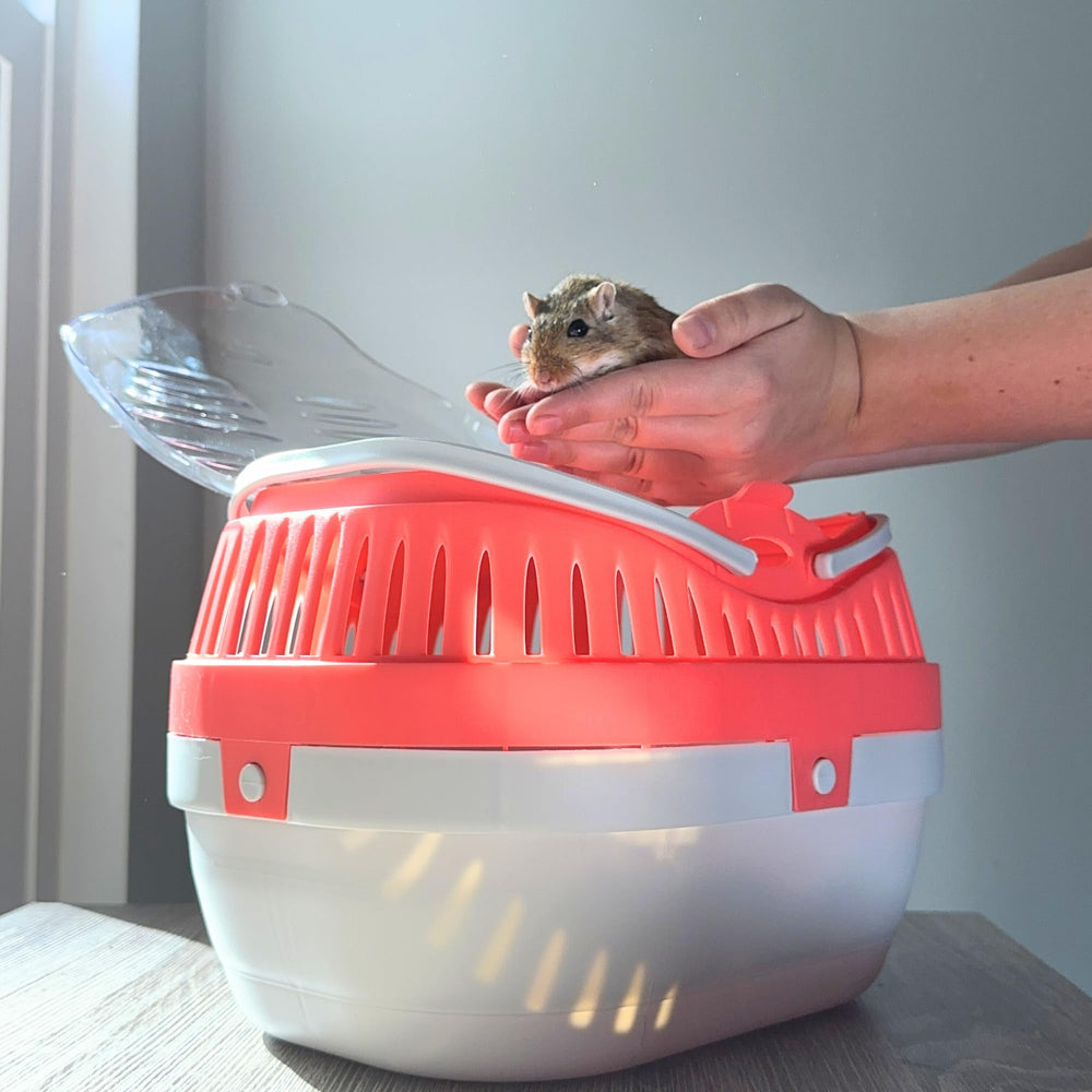 TRIXIE Pico ouverture par le dessus facilitant insertion rapide