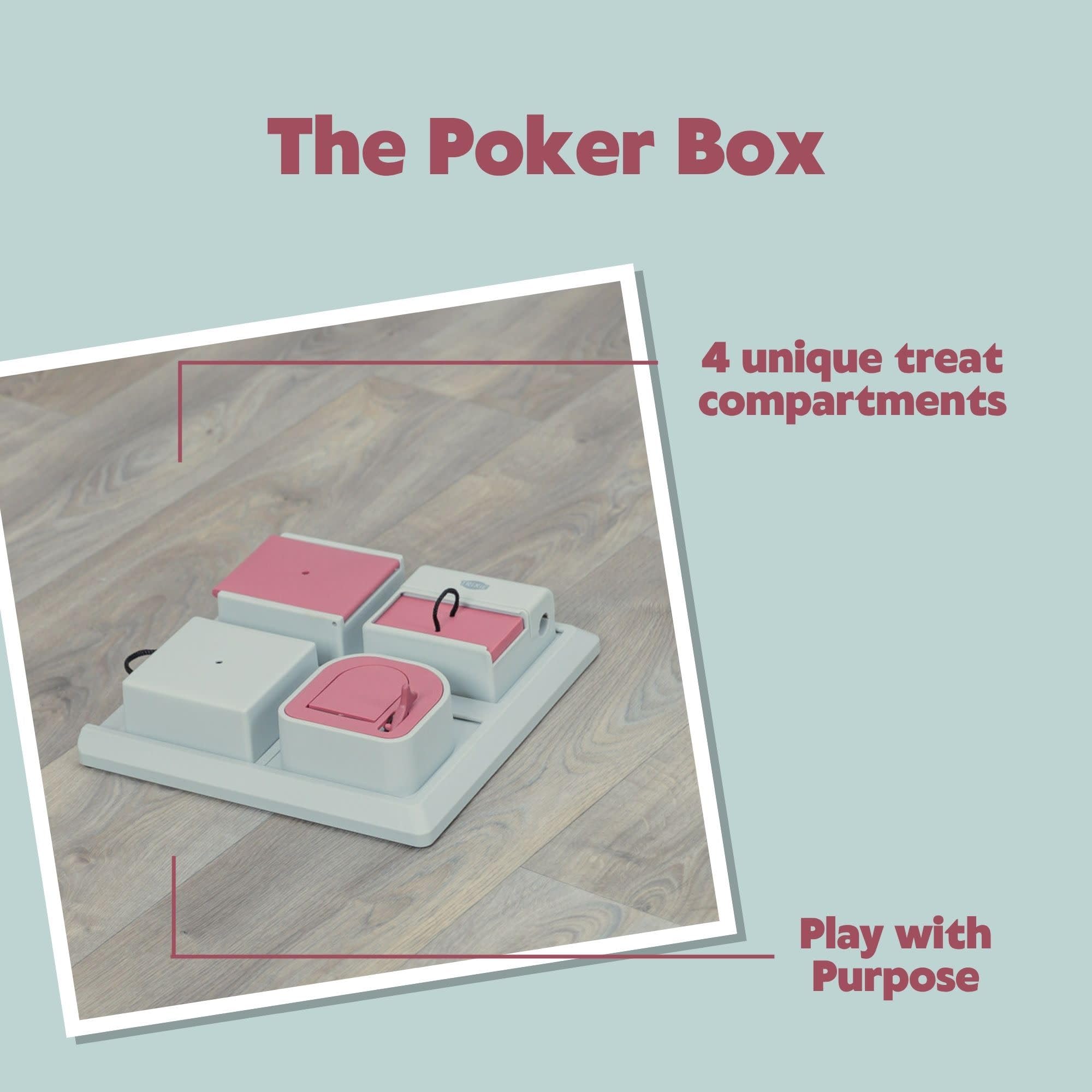 Chat utilisant TRIXIE Poker Box poussant un module pour obtenir friandise et rester actif