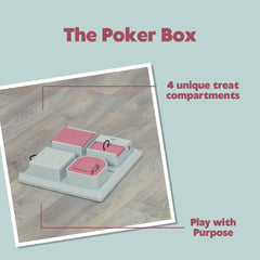 Chat utilisant TRIXIE Poker Box poussant un module pour obtenir friandise et rester actif