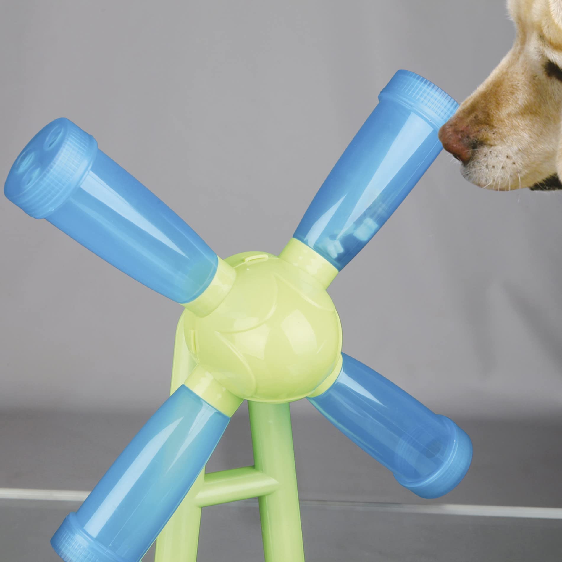 TRIXIE Windmill en usage avec chien favorisant la stimulation mentale