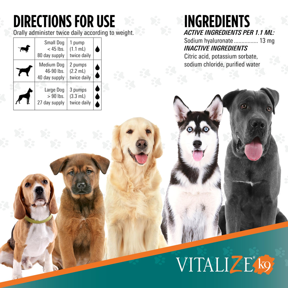 TRIXSYN Vitalize chien recevant la dose, améliore la routine quotidienne