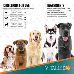 TRIXSYN Vitalize chien recevant la dose, améliore la routine quotidienne