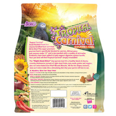 Tropical Carnival détail des noix et pignons pour stimulation et apport en oméga