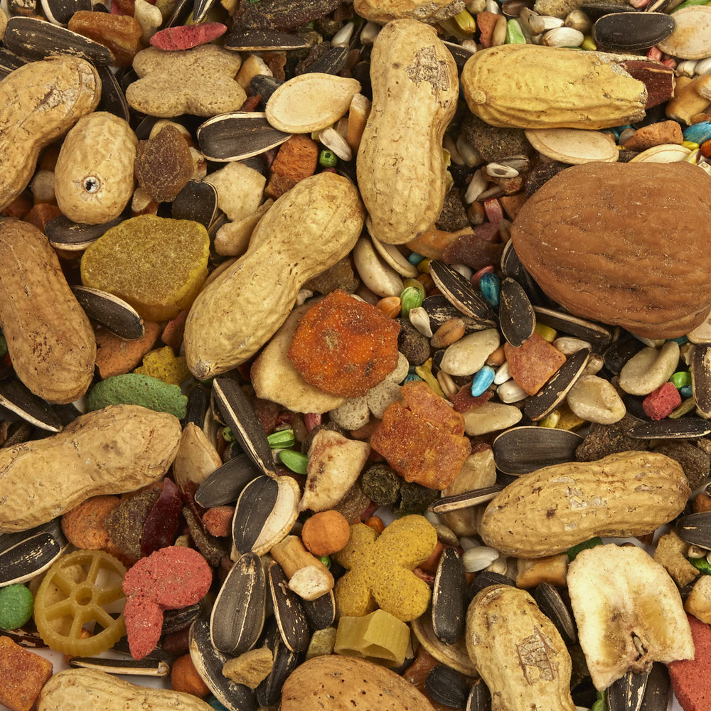 Tropical Carnival en utilisation perroquet mange stimulant comportement naturel