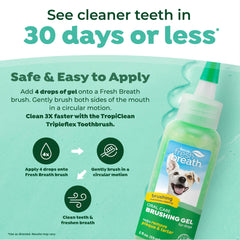 TropiClean gel appliqué sur brosse pour nettoyage efficace des dents