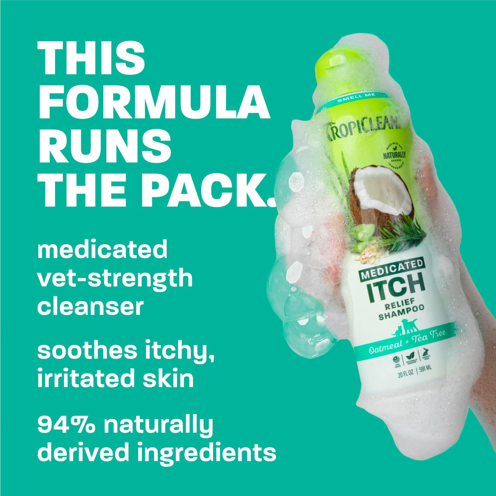 TropiClean application sur chien pour calmer démangeaisons, résultat apaisé