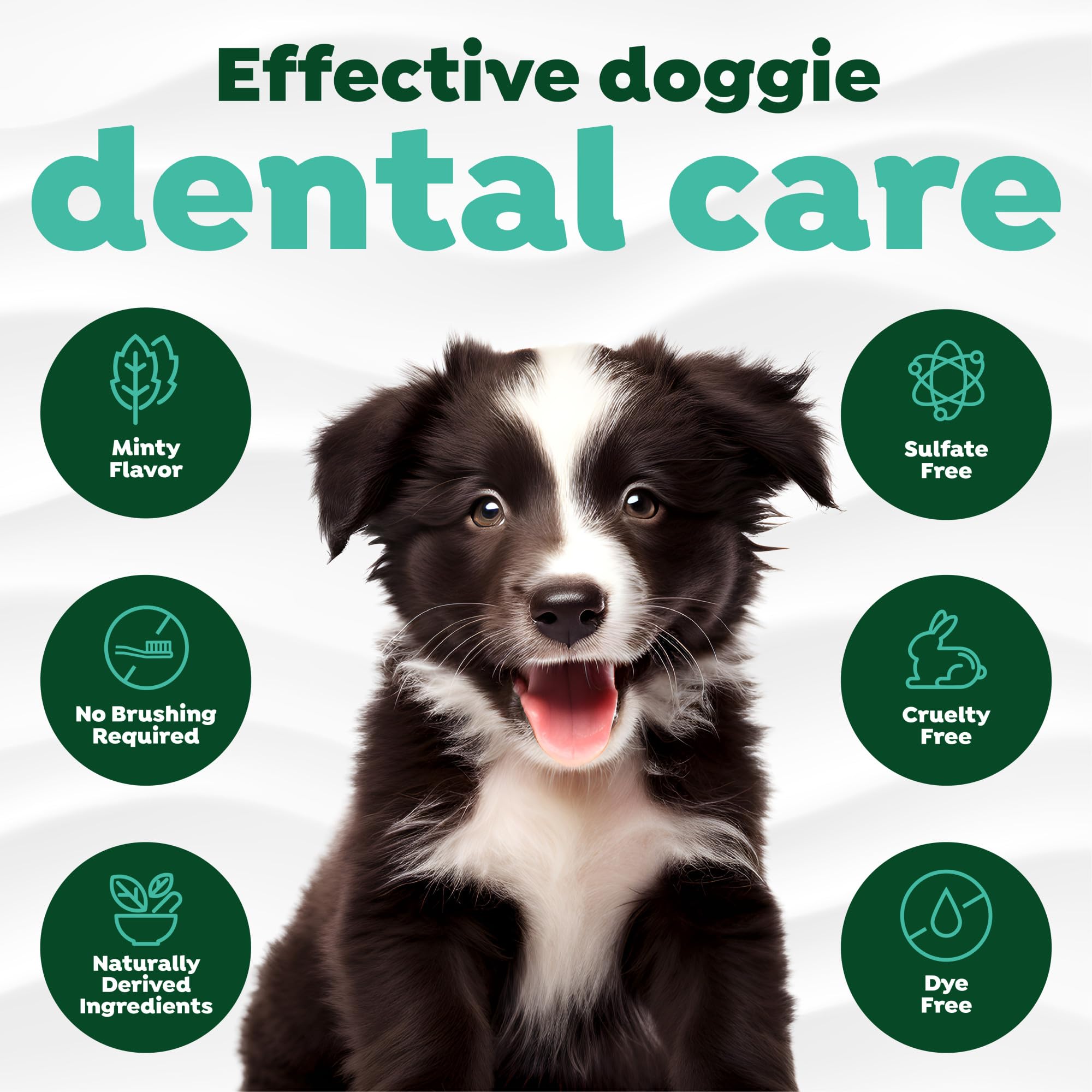 TropiClean application sur dents de chien pour routine sans brossage