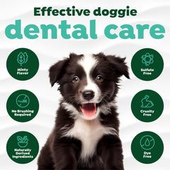 TropiClean application sur dents de chien pour routine sans brossage
