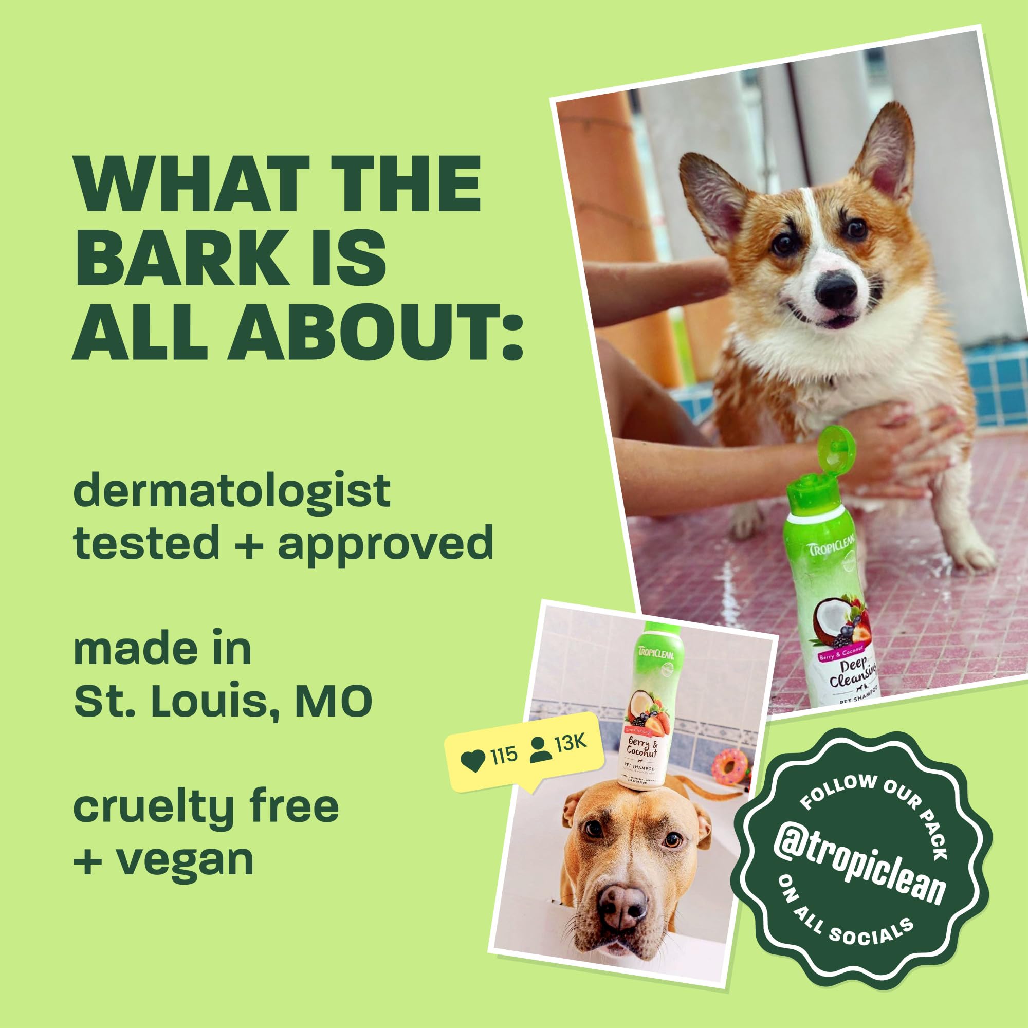 TropiClean chien avant et après bain montrant pelage démêlé et plus lisse