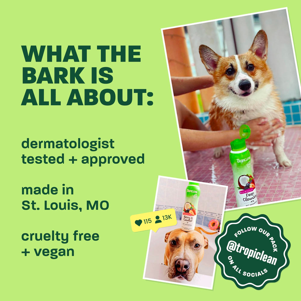 TropiClean chien avant et après bain montrant pelage démêlé et plus lisse