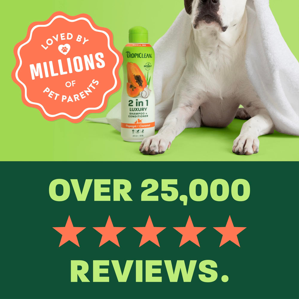 TropiClean chien au bain en cours mettant en valeur application simple et confort