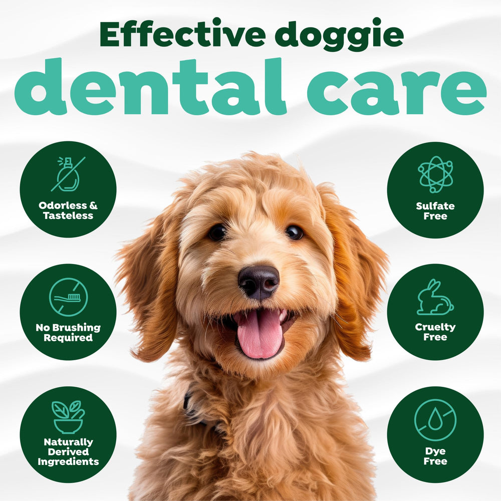 TropiClean chien buvant affichant hydratation et haleine plus fraîche
