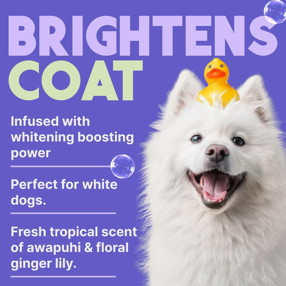 TropiClean chien au bain illustrant facilité d'utilisation et fraîcheur