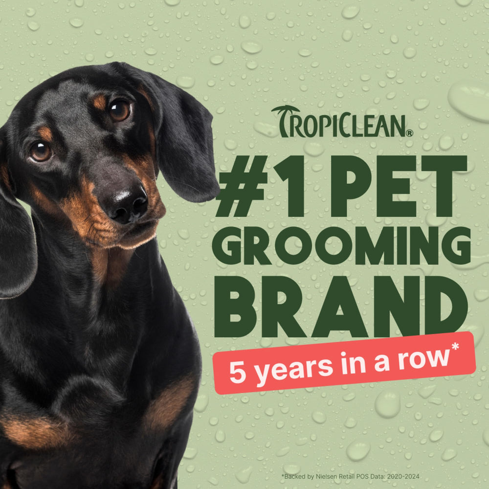 TropiClean spray appliqué sur chien calme, rafraîchit et conditionne le poil