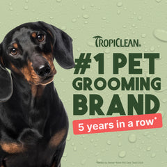 TropiClean spray appliqué sur chien calme, rafraîchit et conditionne le poil