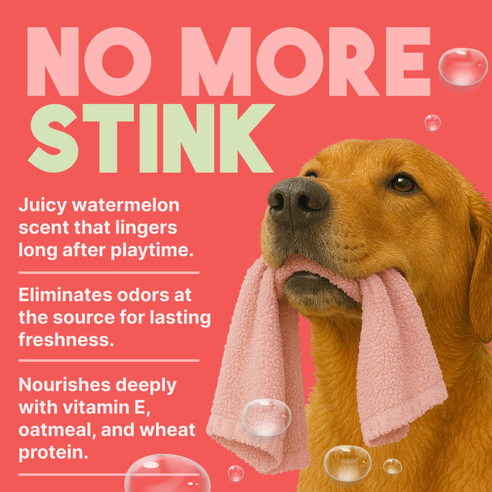 TropiClean comparatif taille avec main, format 8oz pratique pour sorties