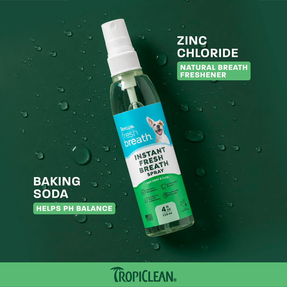 TropiClean flacon 4 oz à côté d’un objet pour évaluer la taille pratique
