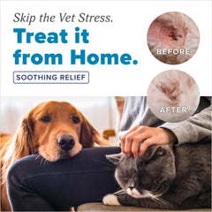 TropiClean pendant application sur chien réduisant l’inconfort auriculaire