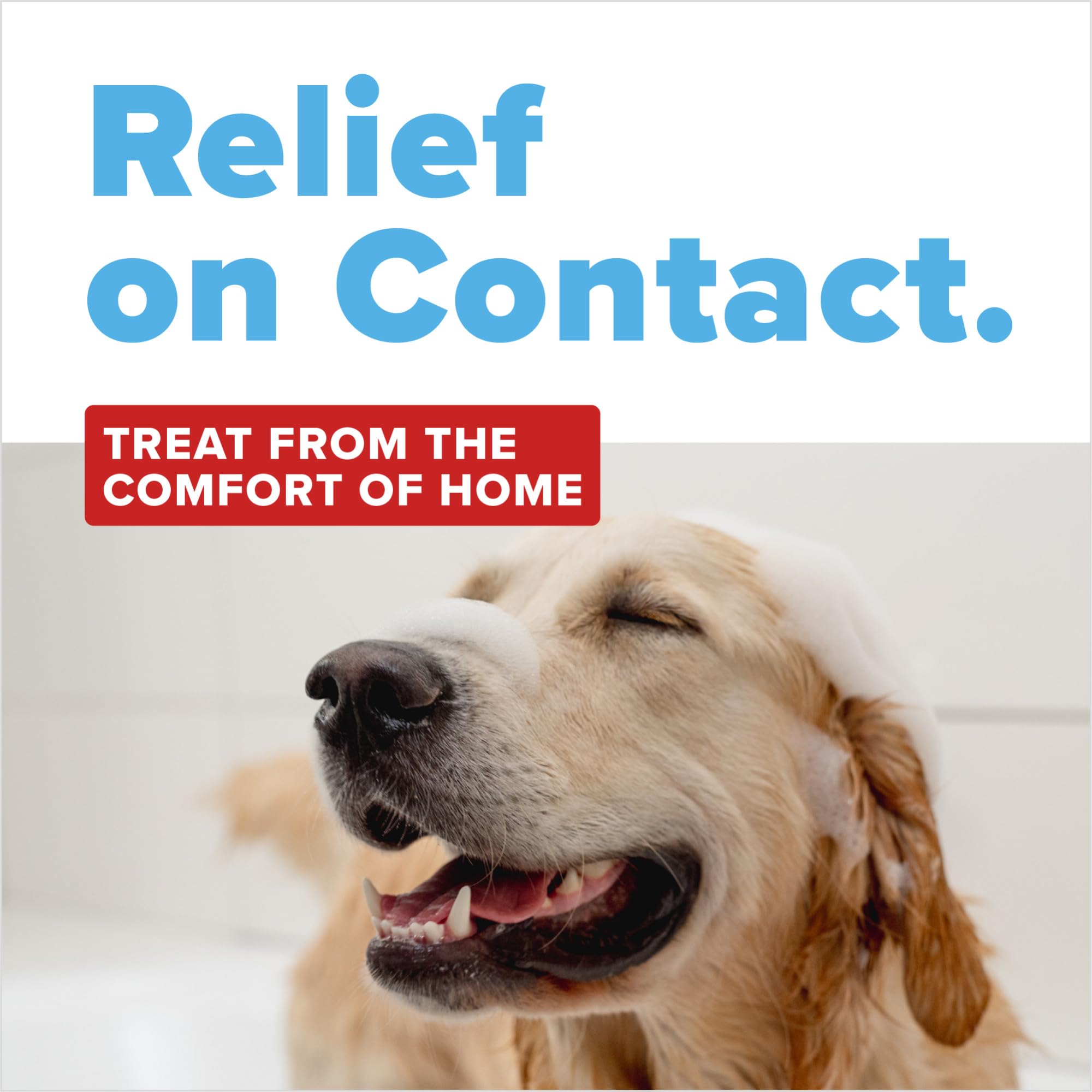 Chien au bain avec TropiClean montrant application sûre et confort cutané
