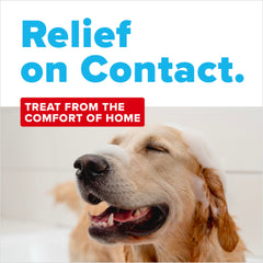 Chien au bain avec TropiClean montrant application sûre et confort cutané