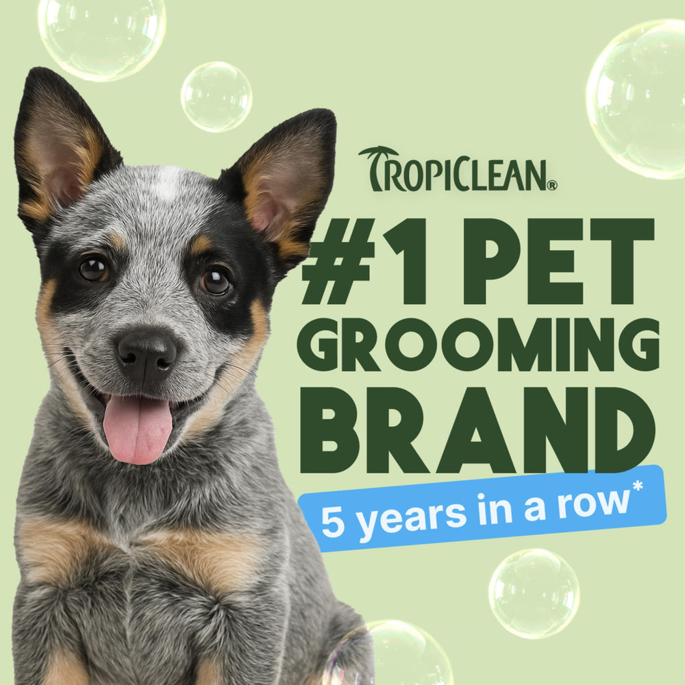 TropiClean mousse légère montrant nettoyage doux et facile