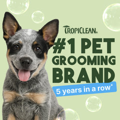 TropiClean mousse légère montrant nettoyage doux et facile