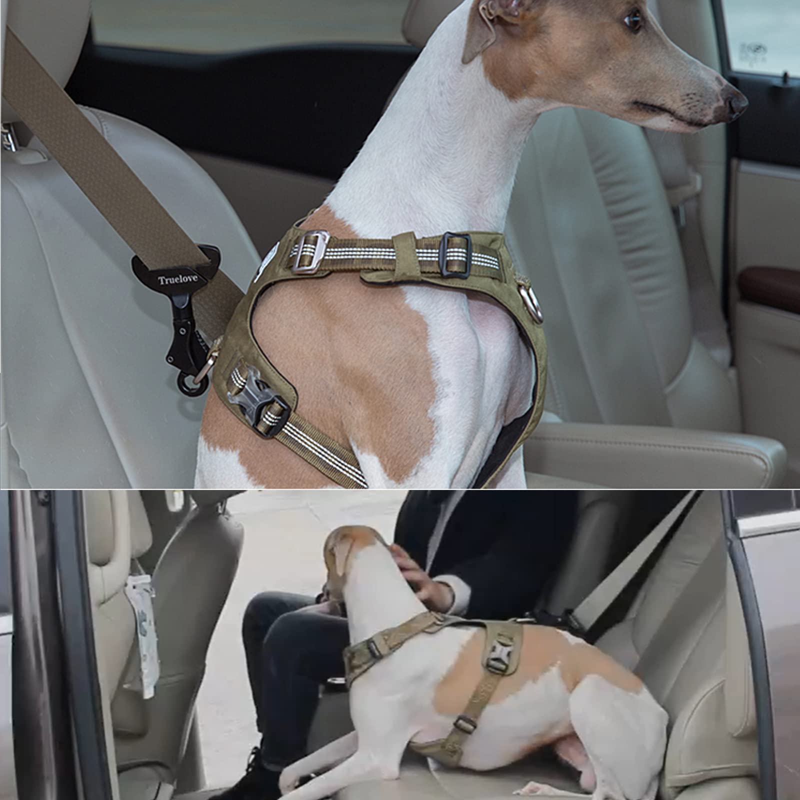 TOPSOSO Truelove verrou en action dans voiture assurant maintien du chien