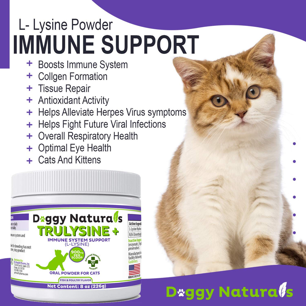 Pet Health Pharma trulysine plus chat qui mange illustrant appétence accrue
