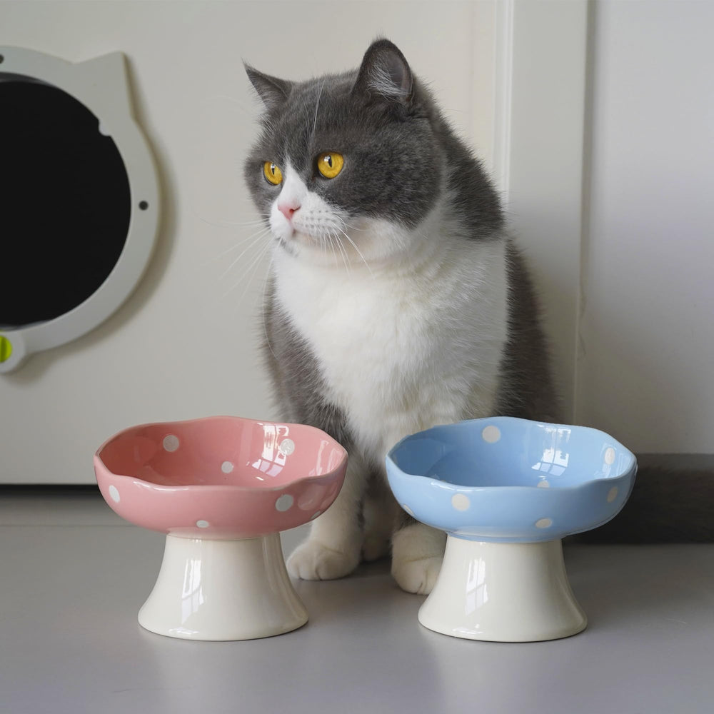 Trundisan base céramique lourde assurant stabilité pendant le repas