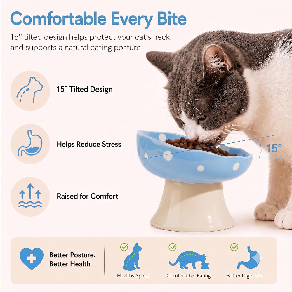 Trundisan comparaison taille indiquant dimensions pratiques pour chats