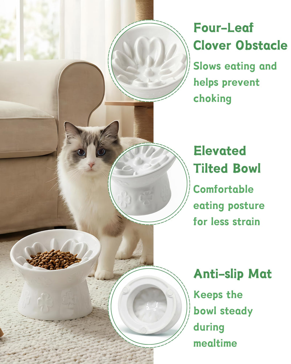 TRUVIC bol en usage chat mange confortablement pour meilleure posture