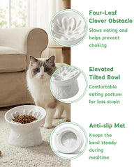 TRUVIC bol en usage chat mange confortablement pour meilleure posture