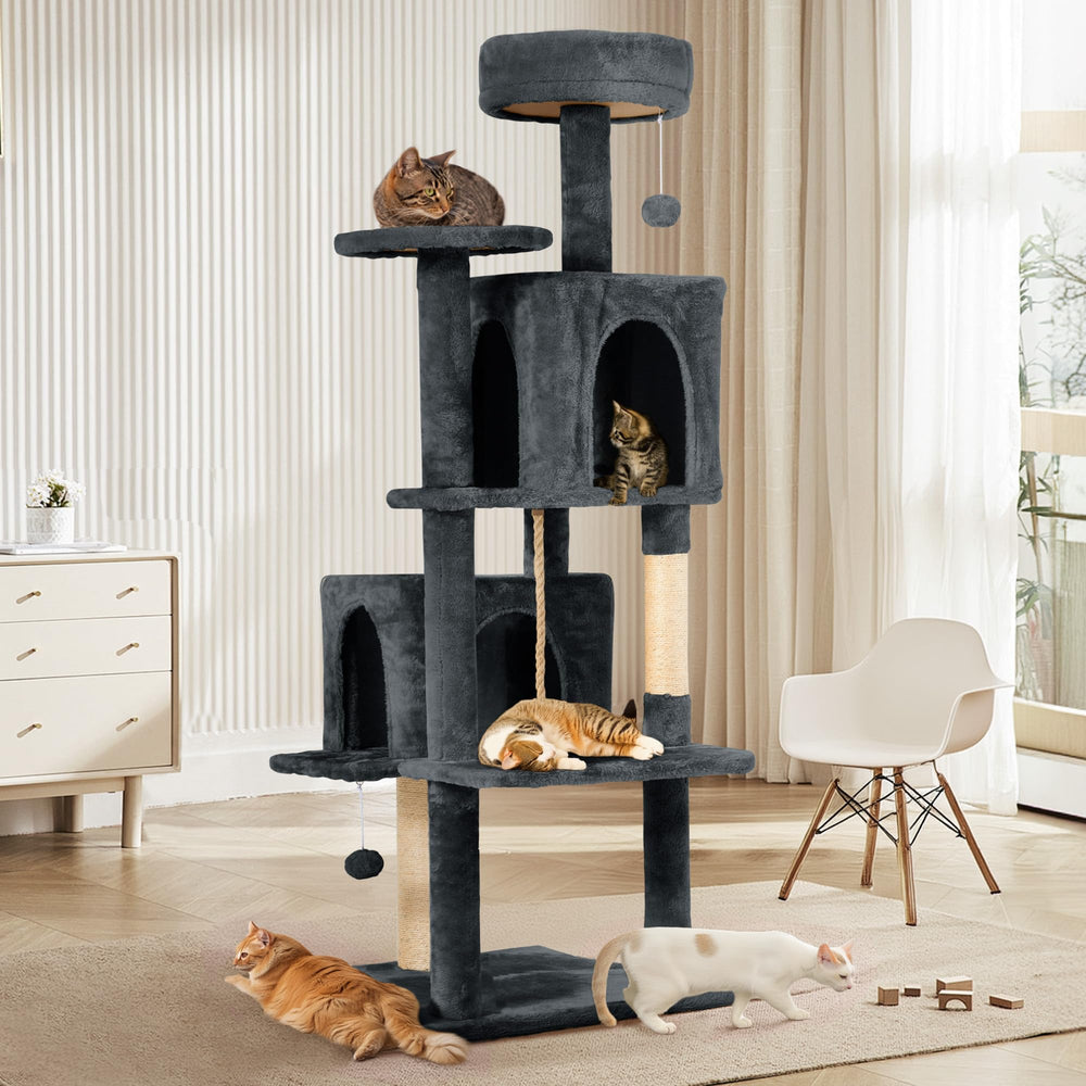 TSCOMON comparaison taille montre compatibilité pour chats de toutes tailles