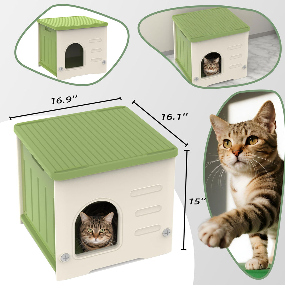 TSEHOOHOO intérieur spacieux illustrant confort pour chat adulte