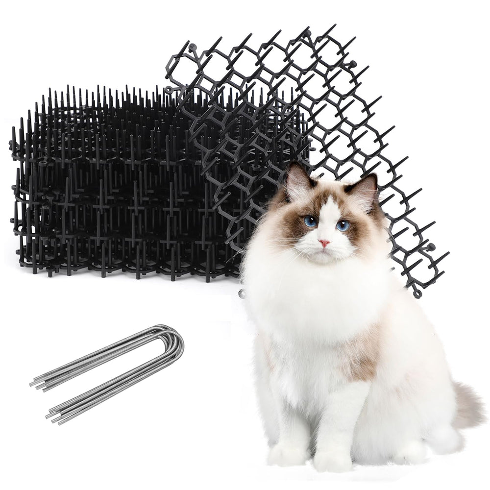 TSLBW tapis face avant montrant modules empilés et protection visible