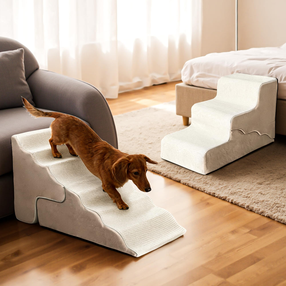TSYPAIRS comparaison de taille avec chat illustrant l’échelle pratique