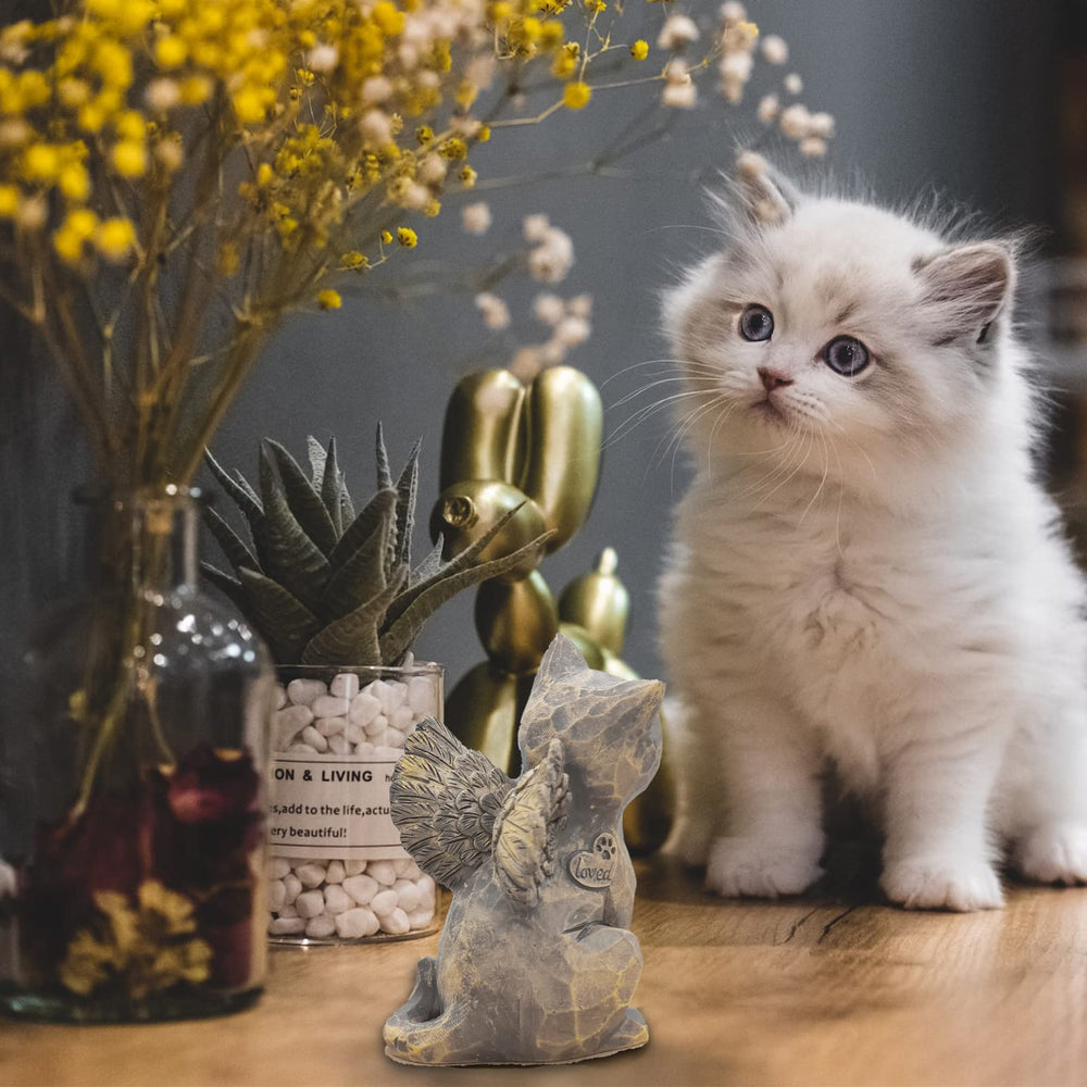 Tsyulog boîte cadeau ouverte prête à offrir et réconforter