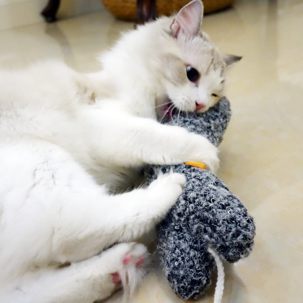 TTcat chat en train de bunny-kick pour canaliser énergie et instincts
