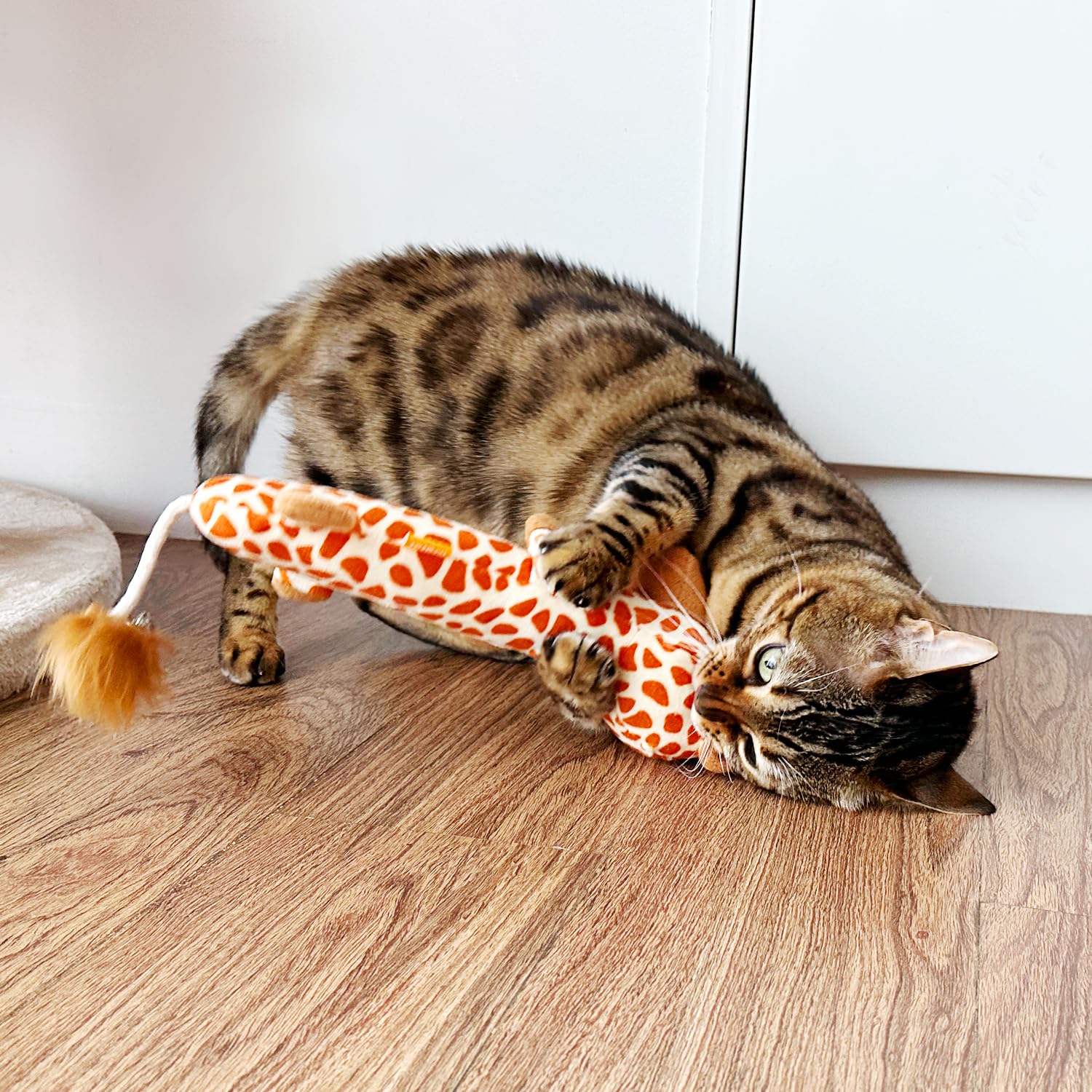 TTcat girafe patte ouverte révélant papier crissant attractif